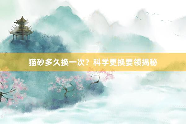 猫砂多久换一次？科学更换要领揭秘